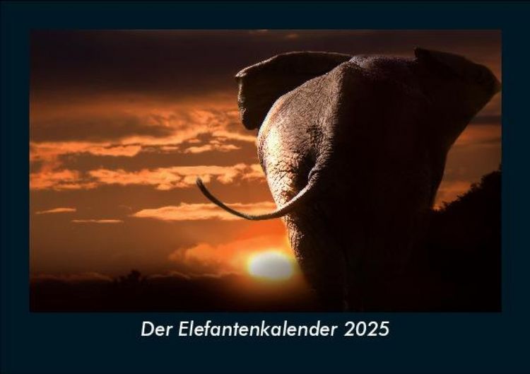 Produktbild: Der Elefantenkalender 2025 Fotokalender DIN A5