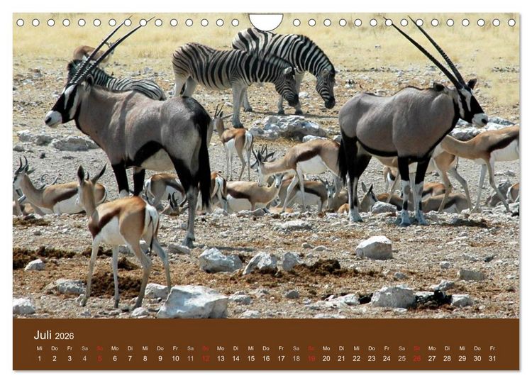 Produktbild: Namibia - faszinierende Menschen und Tiere (Wandkalender 2026 DIN A4 quer), CALVENDO Monatskalender