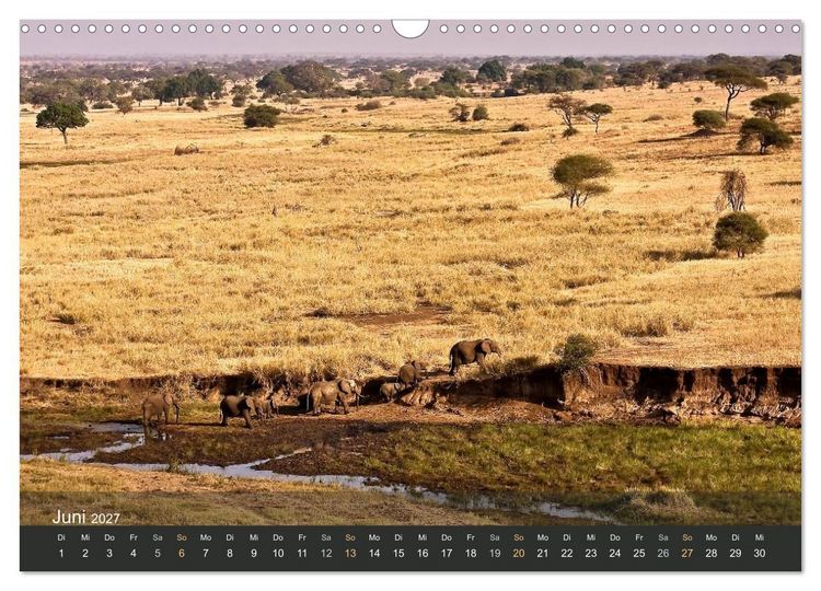 Produktbild: Elefanten (Wandkalender 2027 DIN A3 quer), CALVENDO Monatskalender