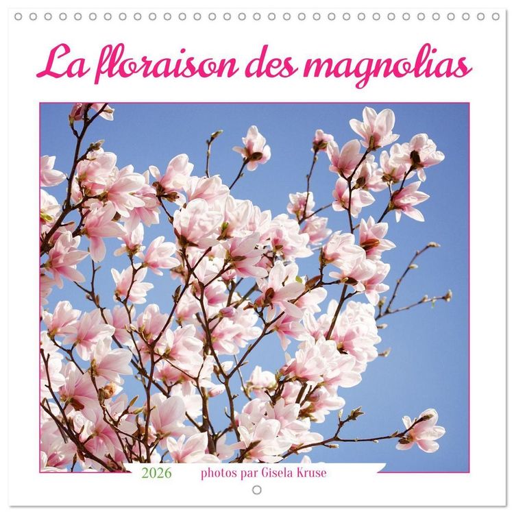 Produktbild: Kruse, G: Floraison des magnolias (Calendrier mural carr&eacute; 20