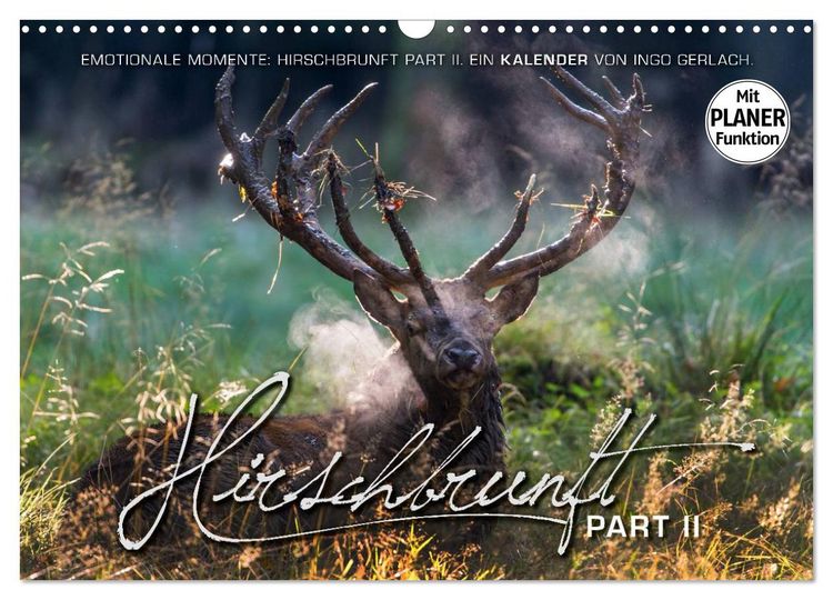 Produktbild: Emotionale Momente: Hirschbrunft. Part II. (Wandkalender 2026 DIN A3 quer), CALVENDO Monatskalender