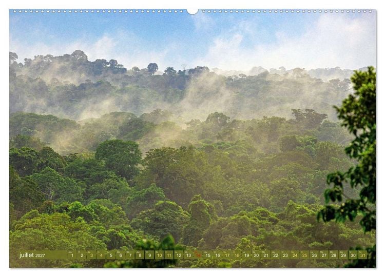 Produktbild: L'Amazone : des Andes &agrave; l'Atlantique (Calendrier mural 2027 DIN A2 vertical) calendrier de bureau