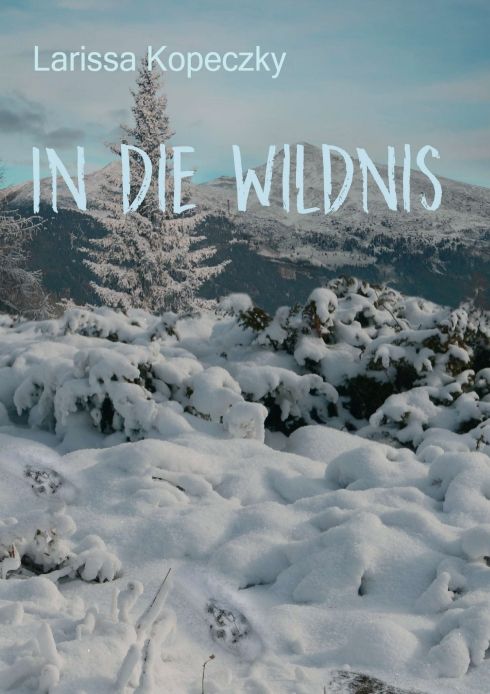 Produktbild: In die Wildnis