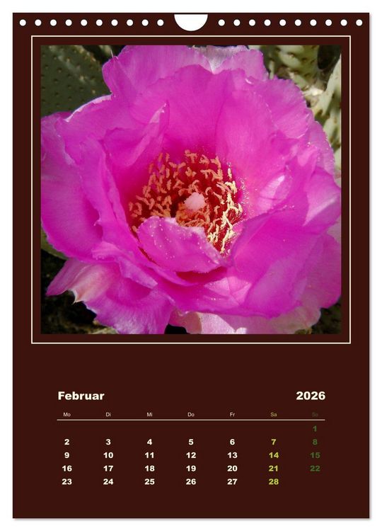 Produktbild: Wilde Kakteen Amerikas (Wandkalender 2026 DIN A4 hoch), CALVENDO Monatskalender