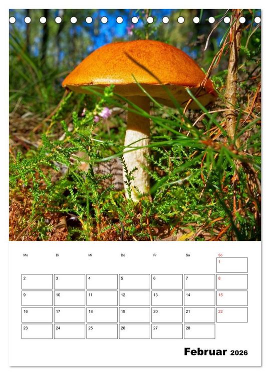 Produktbild: Heimische Waldpilze (Tischkalender 2026 DIN A5 hoch), CALVENDO Monatskalender