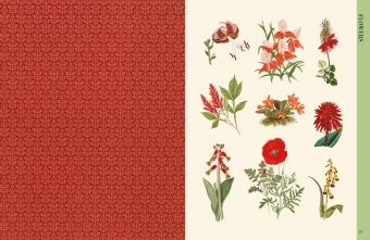 Produktbild: Botanical Art to Cut out and Collage