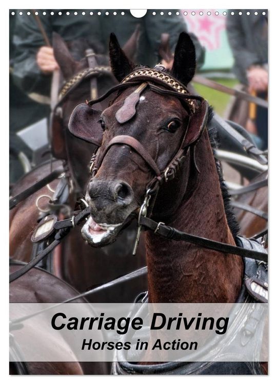Produktbild: Carriage Driving - Horses in Action (Wall Calendar 2026 DIN A3 portrait), CALVENDO 12 Month Wall Calendar