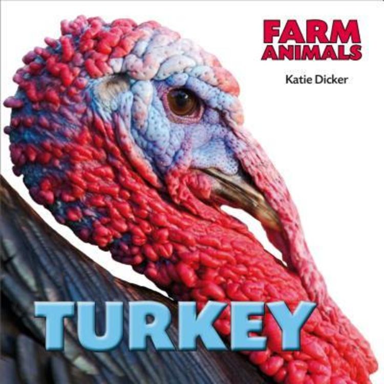 Produktbild: Turkey