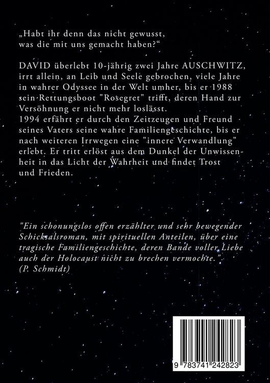 Produktbild: Ein Stern am Horizont