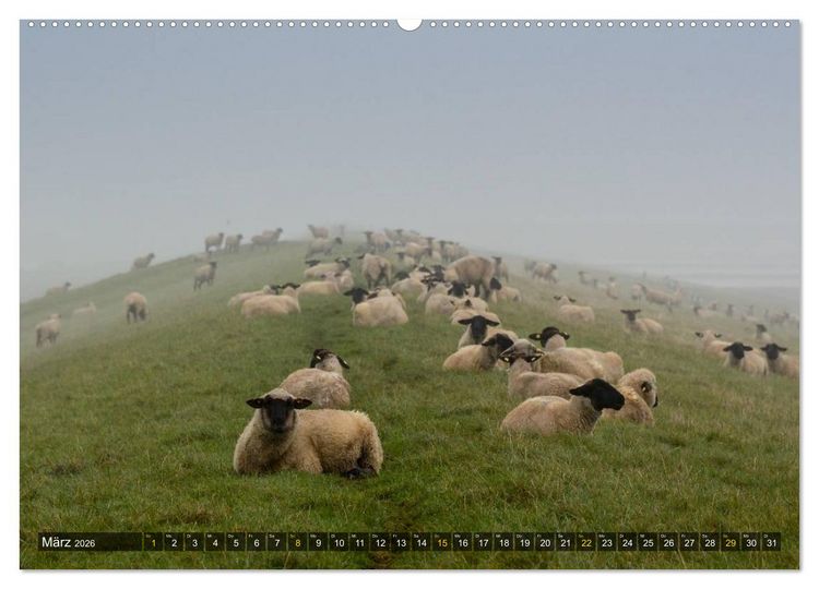 Produktbild: Impressionen aus dem Wesermarsch - Butjadingen 2026 (hochwertiger Premium Wandkalender 2026 DIN A2 quer), Kunstdruck in Hochglanz