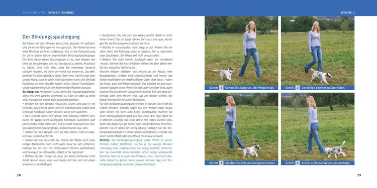 Produktbild: Welpen-Erziehung