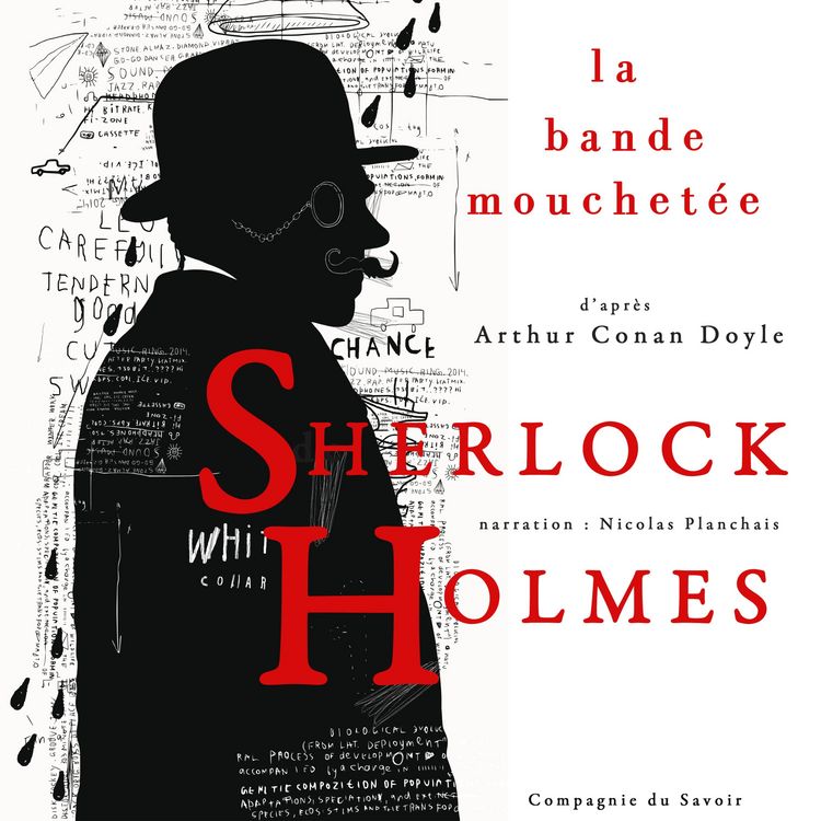 Produktbild: La Bande mouchet&eacute;e, Les enqu&ecirc;tes de Sherlock Holmes et du Dr Watson