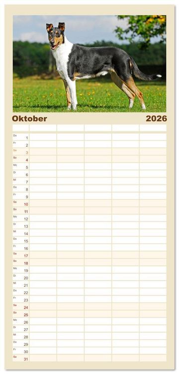 Produktbild: Familienplaner 2026 - Ein Freund f&uuml;rs Leben - Smooth Collie mit 5 Spalten (Wandkalender, 21 x 45 cm) CALVENDO