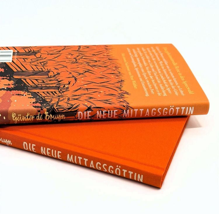 Produktbild: Die neue Mittagsg&ouml;ttin