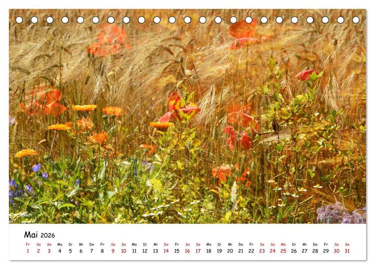 Produktbild: Pinneberger Art (Tischkalender 2026 DIN A5 quer), CALVENDO Monatskalender