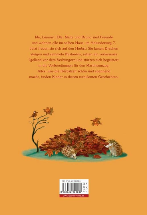 Produktbild: Herbst im Holunderweg / Holunderweg Band 1