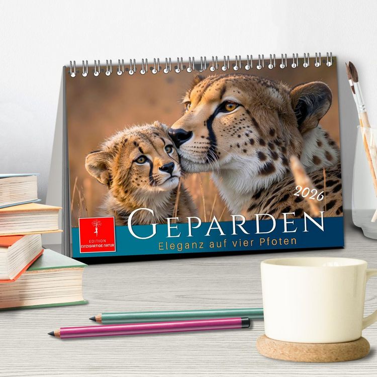 Produktbild: Geparden - Eleganz auf vier Pfoten (Tischkalender 2026 DIN A5 quer), CALVENDO Monatskalender