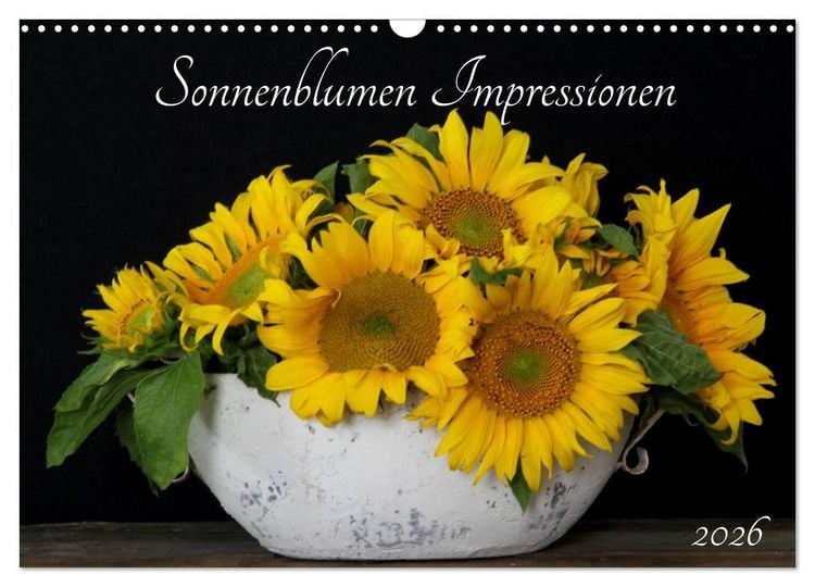 Produktbild: Sonnenblumen Impressionen (Wandkalender 2026 DIN A3 quer), CALVENDO Monatskalender