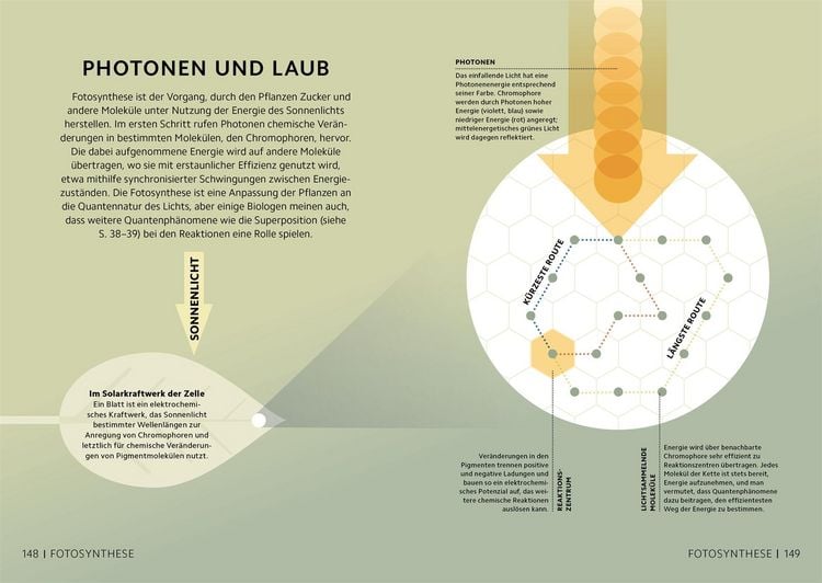 Produktbild: SIMPLY. Quantenphysik