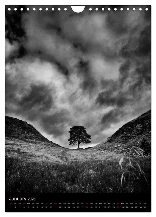 Produktbild: Journeys - Black & White (Wall Calendar 2026 DIN A4 portrait), CALVENDO 12 Month Wall Calendar