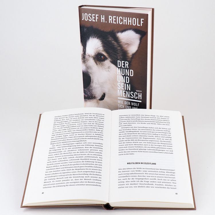 Produktbild: Der Hund und sein Mensch