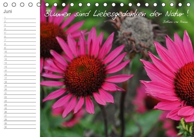 Produktbild: Befl&uuml;gelt (Tischkalender immerw&auml;hrend DIN A5 quer)