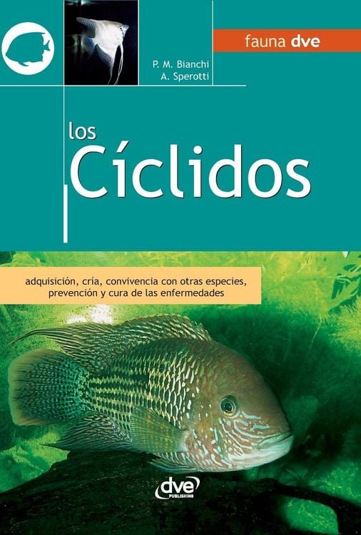 Produktbild: Los c&iacute;clidos