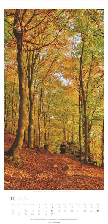 Produktbild: Im Wald Kalender 2027