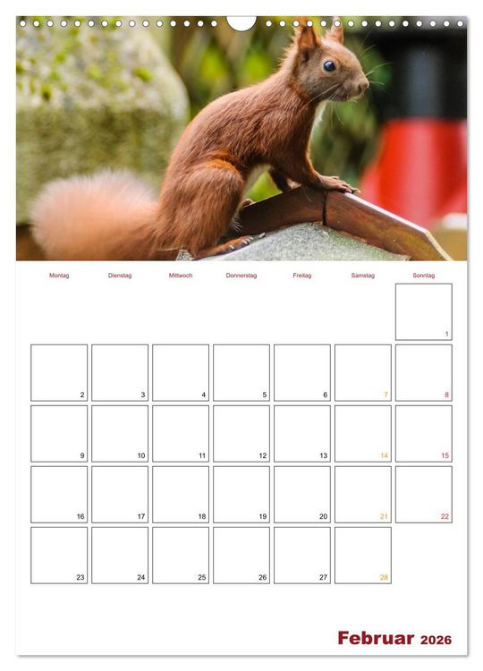 Produktbild: Eichh&ouml;rnchen Planer 2026 (Wandkalender 2026 DIN A3 hoch), CALVENDO Monatskalender