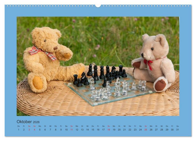 Produktbild: Teddys Meine Freunde (Wandkalender 2026 DIN A2 quer), CALVENDO Monatskalender