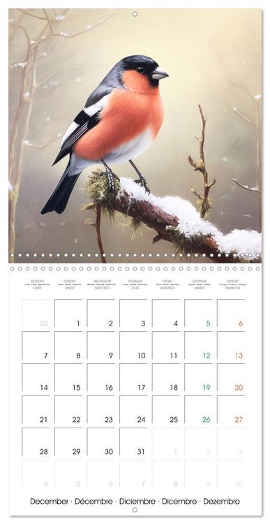 Produktbild: Ailes en sc&egrave;ne (Calendrier mural carr&eacute; 2026 30x30 cm) Calendrier double avec une page pour vos prises de notes
