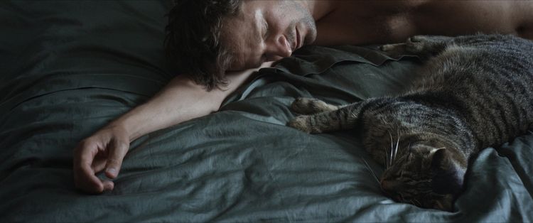 Produktbild: Kater