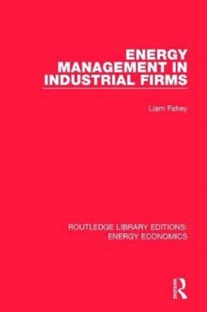 Produktbild: Energy Management in Industrial Firms