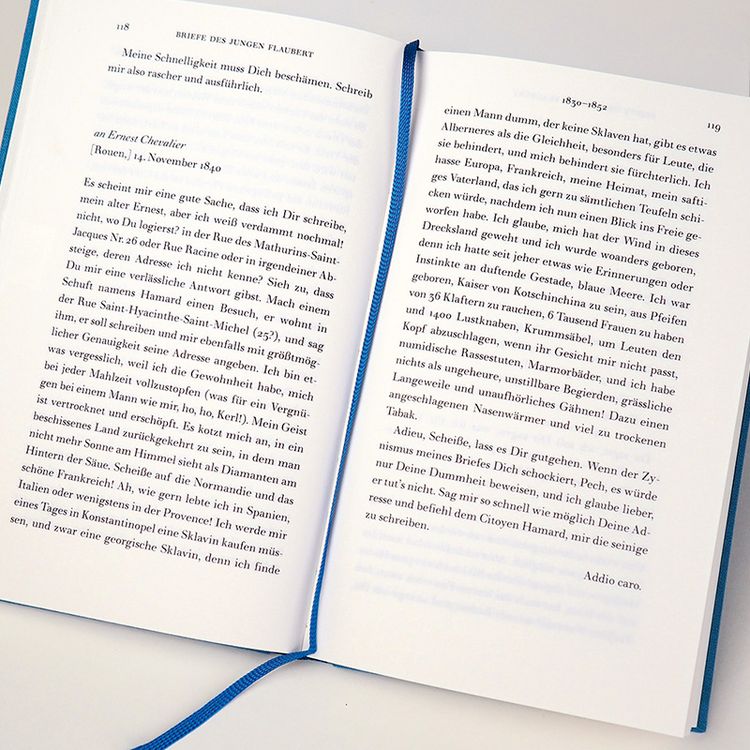 Produktbild: Memoiren eines Irren
