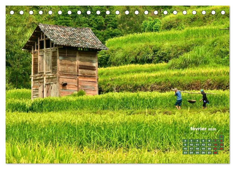 Produktbild: Riz de Chine (Calendrier de bureau 2026 DIN A5 vertical), CALVENDO calendrier mensuel