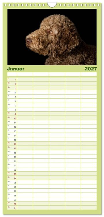 Produktbild: Familienplaner 2027 - Pudel mit 5 Spalten (Wandkalender, 21 x 45 cm) CALVENDO