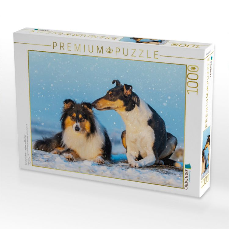 Produktbild: CALVENDO Puzzle Ein sch&ouml;nes Paar - Langhaar und Kurzhaar | 1000 Teile Lege-Gr&ouml;&szlig;e 64x48cm Foto-Puzzle f&uuml;r gl&uuml;ckliche Stunden