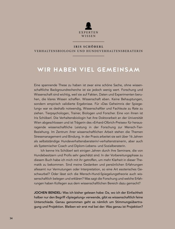Produktbild: Das Geheimnis der Spiegelung