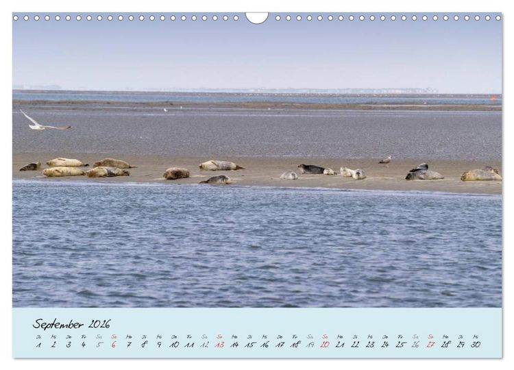 Produktbild: Nordsee &ndash; D&uuml;nen, Sand, Wasser und Wolken (Wandkalender 2026 DIN A3 quer), CALVENDO Monatskalender