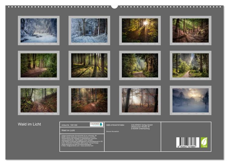 Produktbild: Wald im Licht (hochwertiger Premium Wandkalender 2026 DIN A2 quer), Kunstdruck in Hochglanz