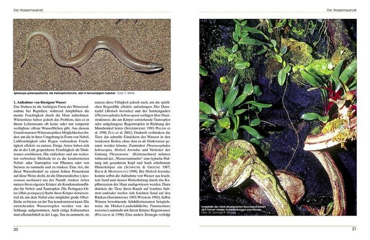 Produktbild: Terrarieneinrichtung