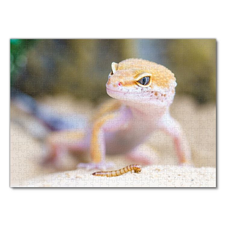 Produktbild: Lais Puzzle Gecko 500 Teile