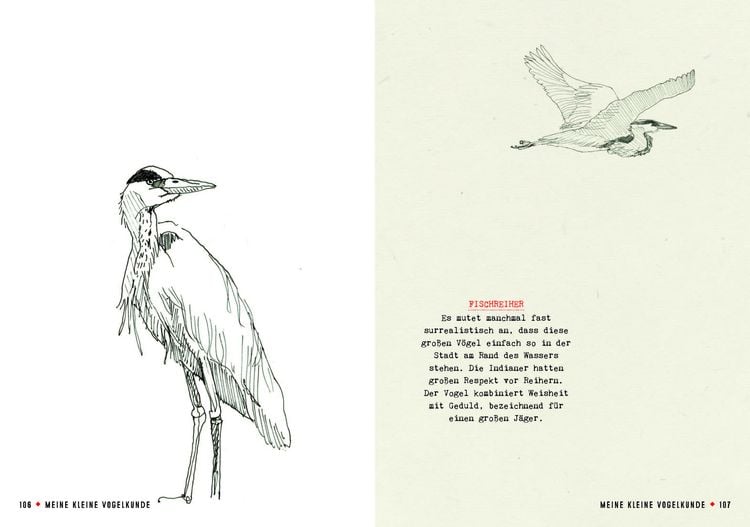 Produktbild: Meine kleine Vogelkunde