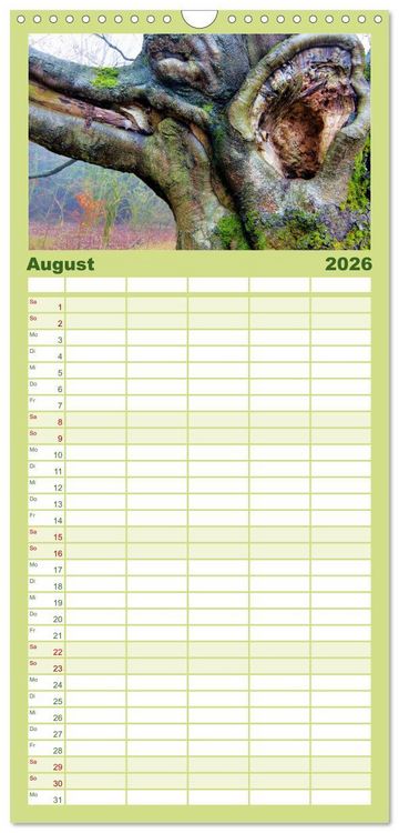 Produktbild: Familienplaner 2026 - Waldd&auml;monen mit 5 Spalten (Wandkalender, 21 x 45 cm) CALVENDO