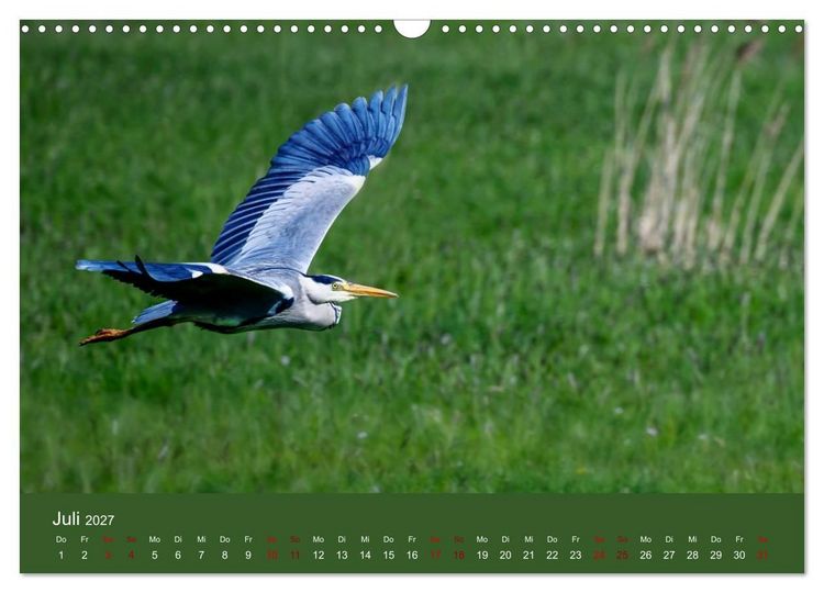 Produktbild: Reiher in der Elbmarsch (Wandkalender 2027 DIN A3 quer), CALVENDO Monatskalender