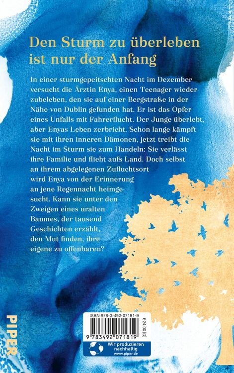 Produktbild: Dem Sturm entgegen
