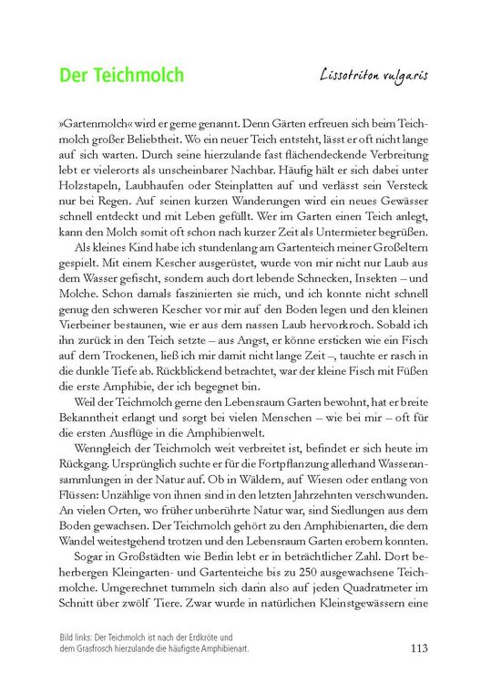 Produktbild: Wunderwelt heimische Amphibien