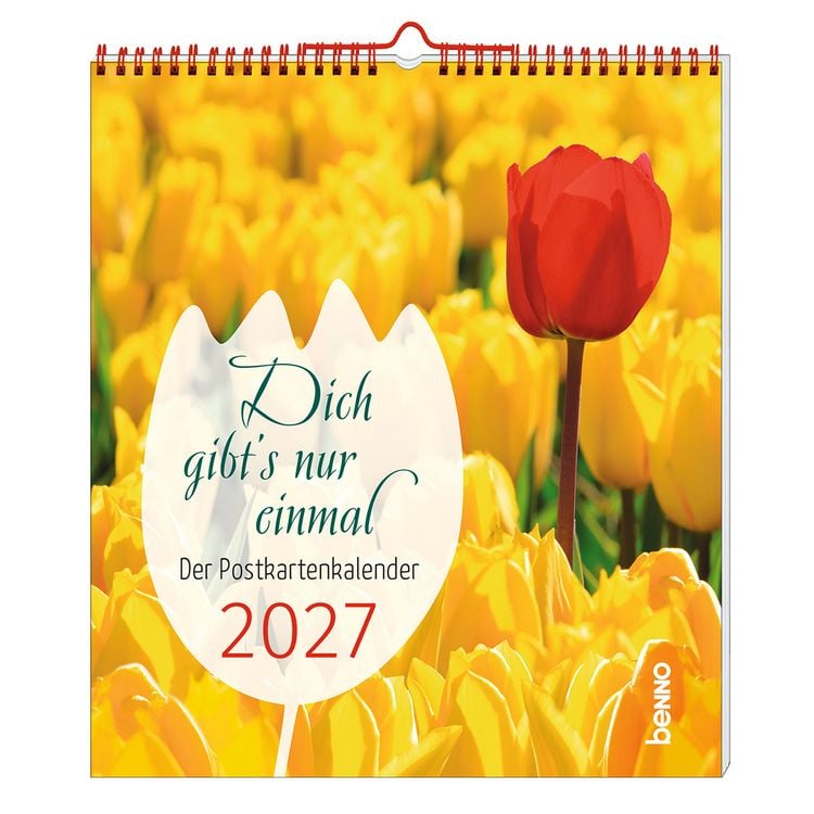 Produktbild: Dich gibt's nur einmal 2027