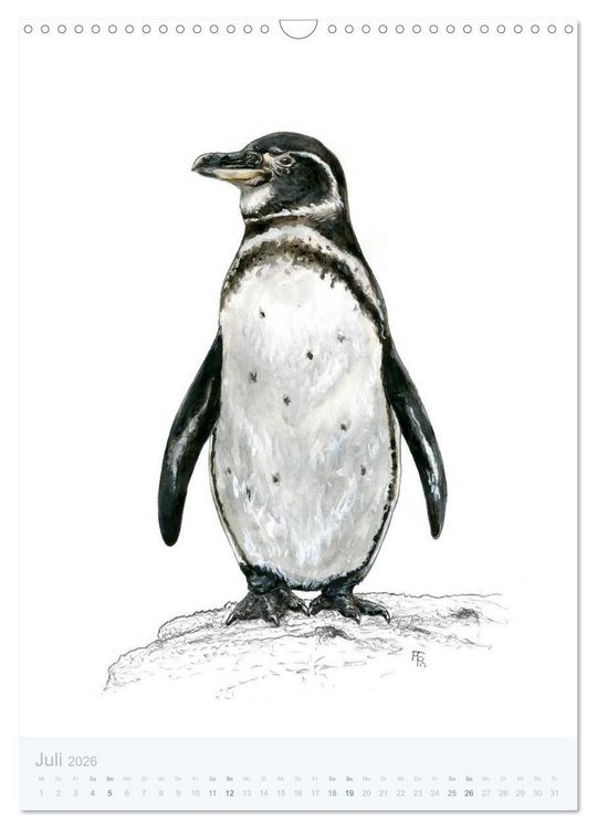 Produktbild: Pinguine - 13 Illustrationen (Wandkalender 2026 DIN A3 hoch), CALVENDO Monatskalender