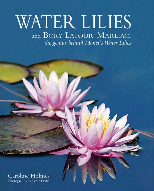 Produktbild: Water Lilies